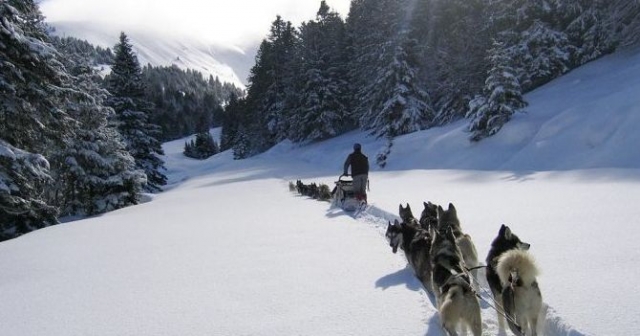  Raid in the Pyrenees Dogs and Snowshoes